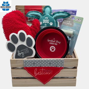 A Calgary Dog gift basket with various pet accessories including a collapsible red bowl, dog food, waste bags and dog toys.