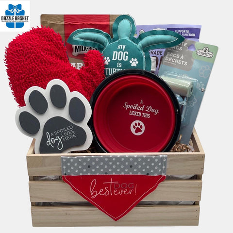 A Calgary Dog gift basket with various pet accessories including a collapsible red bowl, dog food, waste bags and dog toys.