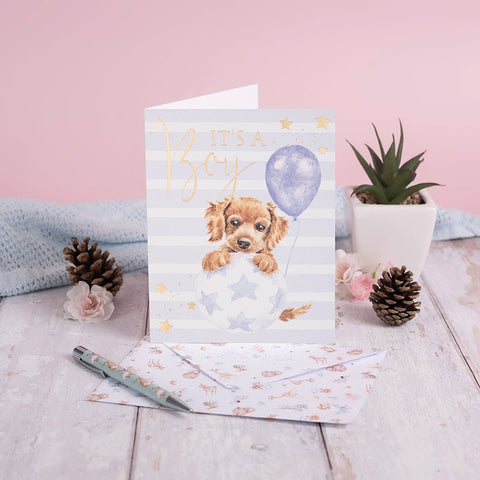 Newborn Baby Boy Greeting Card - Bouncing Boy