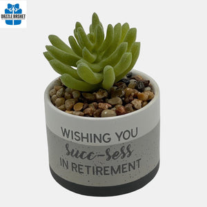 Ceramic pot with artificial succulent plant and retirement message. 