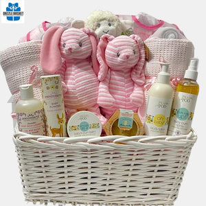 A twins gift basket that includes top of the line baby products including blanket, baby care products, plush toys that the twin girls will need during their first few months..