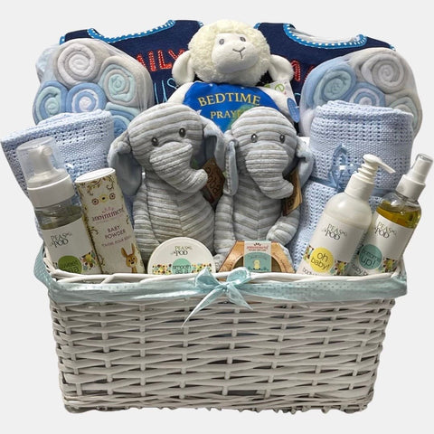 A twins gift basket that includes top of the line baby products including blanket, baby care products, plush toys that the twins will need during their first few months..